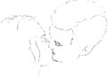 Outline drawing of a kissing couple, line drawing, silhouettes of a girl and a guy, line